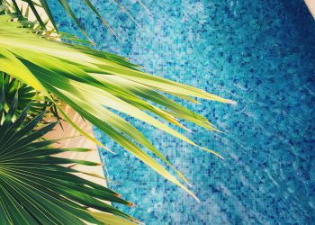 Piscina in giardino: dove installarla?