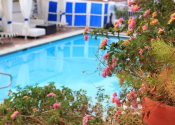 Piscina in giardino: inizia a pensarci adesso